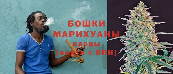 ешки Гатчина