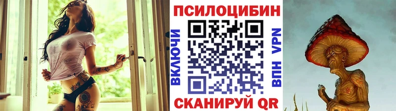 Купить  Егорьевск  Галлюциногенные грибы Psilocybine cubensis 